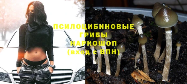 apvp Краснотурьинск