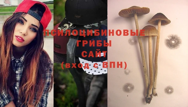 apvp Краснотурьинск