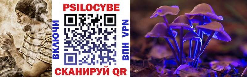 Псилоцибиновые грибы мицелий  Купить закладки  Хилок 